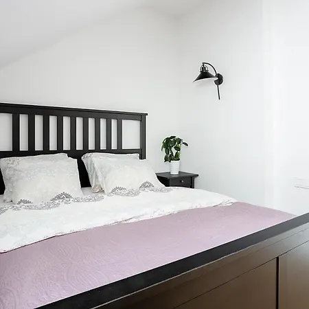 Apartament Baron's Arthouse *