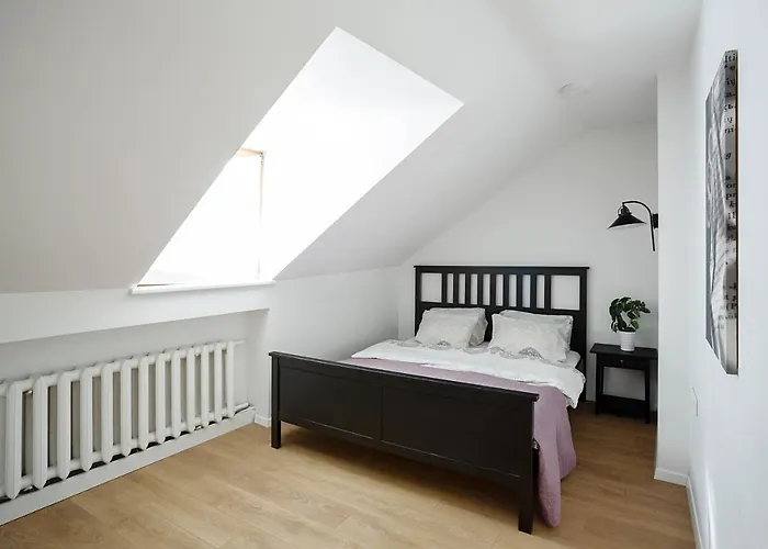 Appartement Baron's Arthouse Vilnius