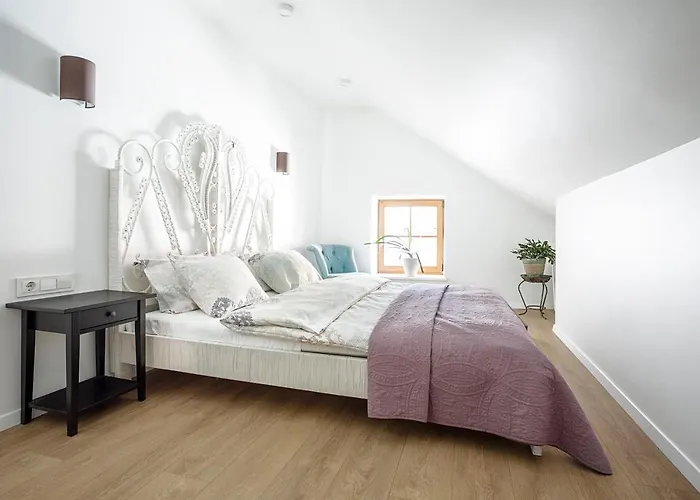 Apartman Baron's Arthouse