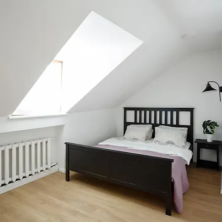 Apartment Baron's Arthouse Vilnius
